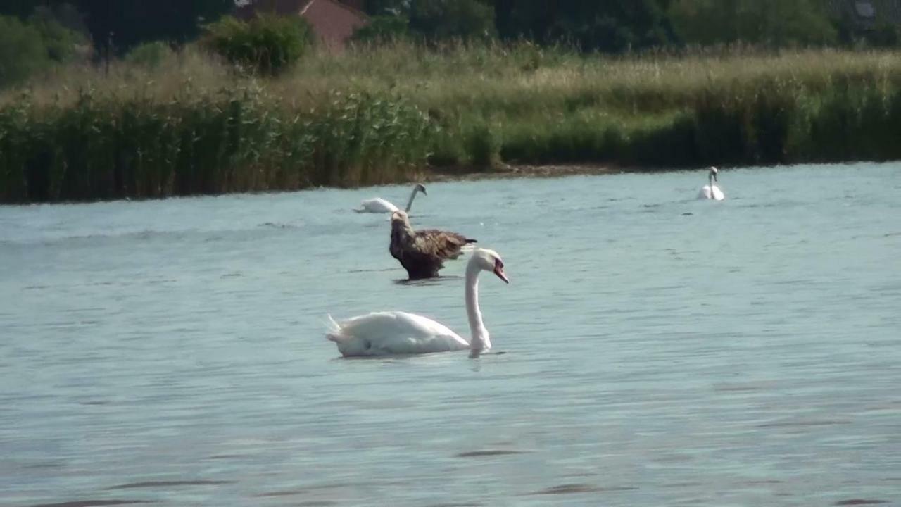 Zacisze Domki Letniskowe Karsibor Świnoujście Екстериор снимка